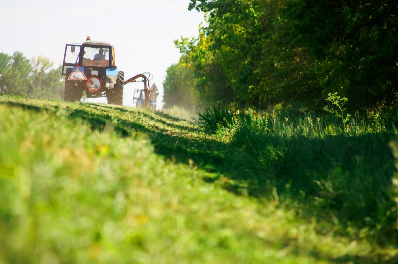 Bush Hog Mowing in Duluth, MN