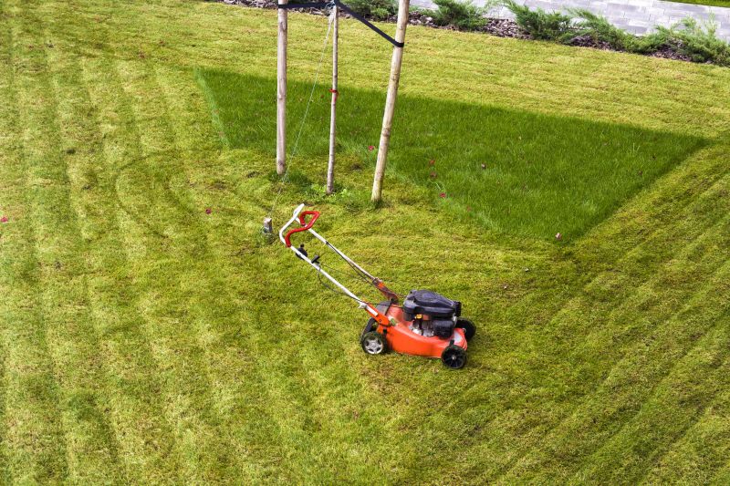 Meadow Mowing in Duluth, MN