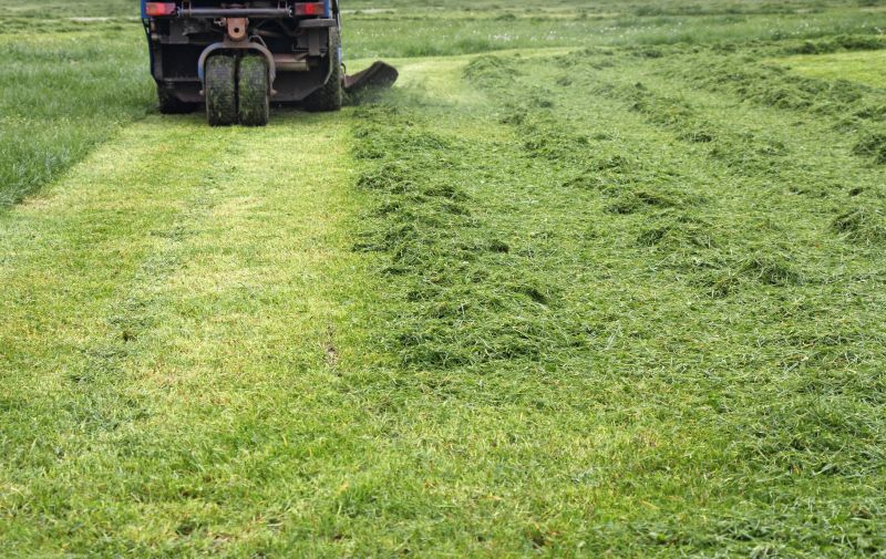 Pasture Mowing in Duluth, MN