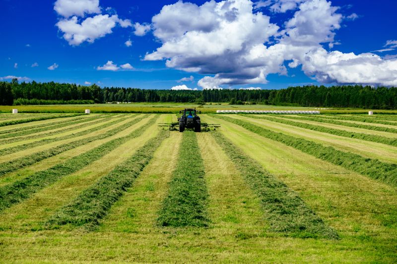 Tractor Mowing in Prince Georges County, MD